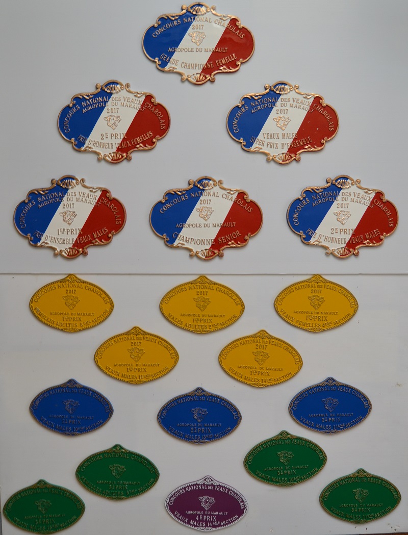 les plaques du National 2017